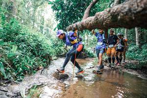 BIB: 
                            <button type="button" onclick="openModal(25374061)" class="btn btn-primary btn-sm float-right btn-popup" data-toggle="modal" data-target=".modal-high-quality">
                        <i class="fas fa-shopping-cart"></i> Add to Cart
                    </button>
                                            <button type="button" onclick="isThisMe(25374061, true)" class="btn btn-success btn-sm float-right btn-popup btn-isme hidden" data-toggle="tooltip" data-placement="bottom" title="นี่คือรูปของคุณใช่ไหม คลิกที่นี่เพื่อเอาเข้าอัลบั้ม">
                        <i class="fas fa-plus"></i> Add to album
                    </button>
                    <button type="button" onclick="isThisMe(25374061, false)" class="btn btn-warning btn-sm float-right btn-popup btn-isnotme hidden">
                        <i class="fas fa-ban"></i> Remove from album
                    </button>